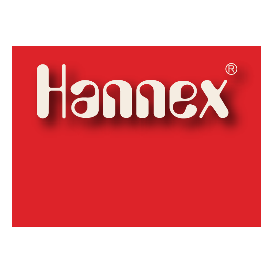 Hannex steamer best sale