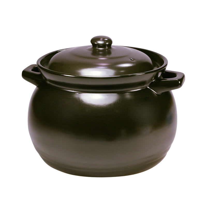 Healthy Bear Ceramic Soup Pot |BCCP45SC| 4.5L
